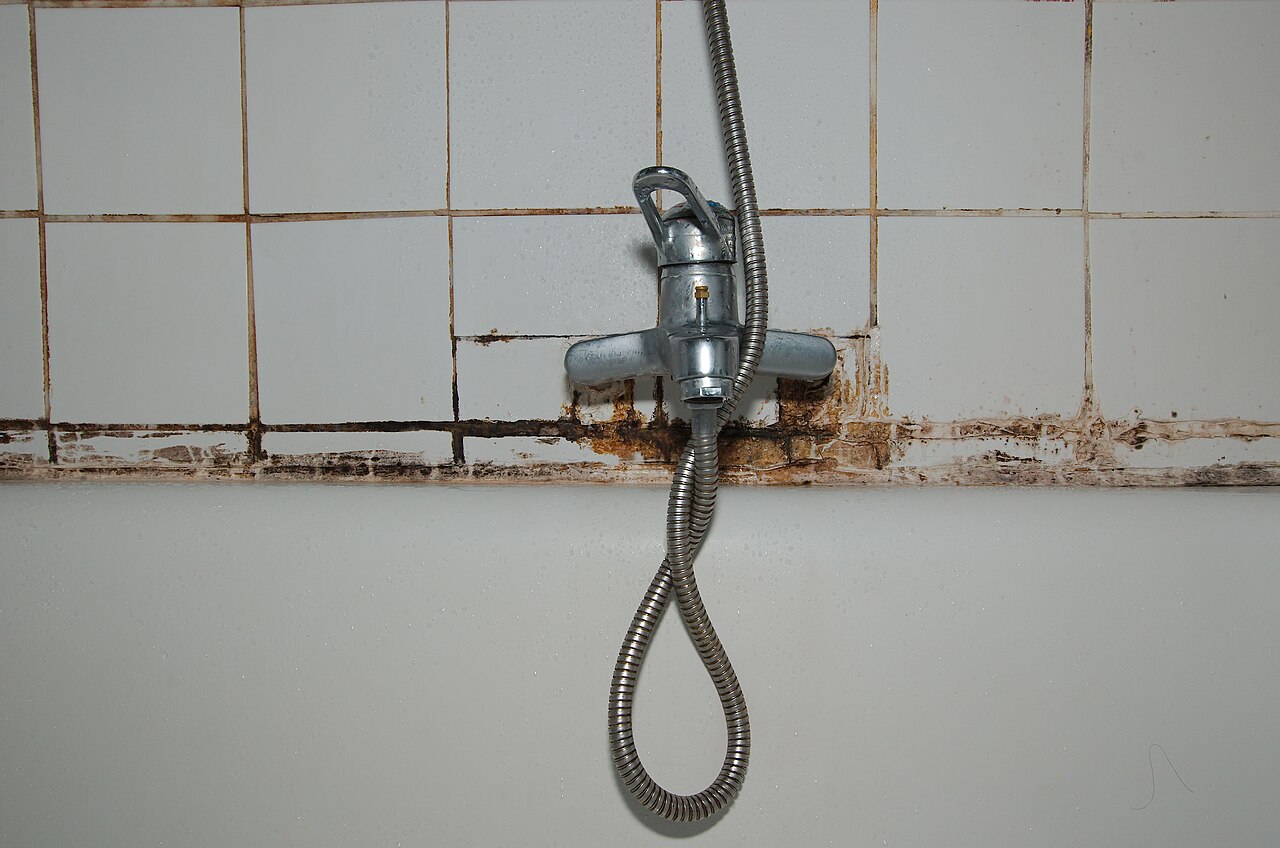salle de bain rénovée